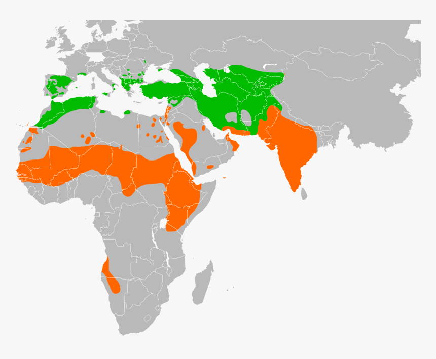 Neophron Percnopterus Distribution - India To Oman Map