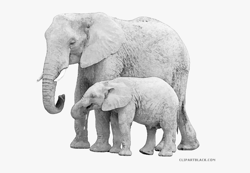 Elephant Clipart Baby Animal