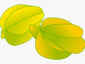 Star Fruit 9 Health Benefits And Nutrition Facts - Star Fruit Clipart Png
