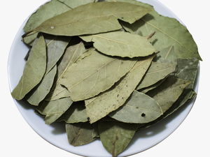 Wholesale Bay Leaf Laurel Leaf Tej Patta - Bay Laurel