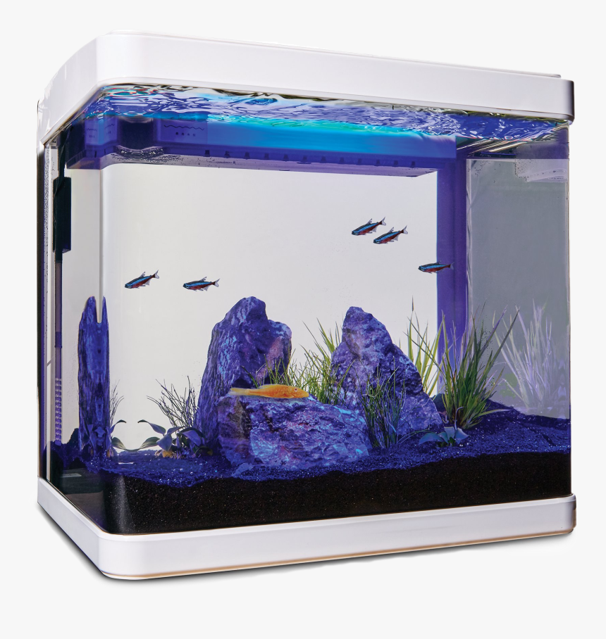 Aquarium Fish Tank Png Clipart - Imagitarium Freshwater Cube Aquarium Kit 5.2 Gal