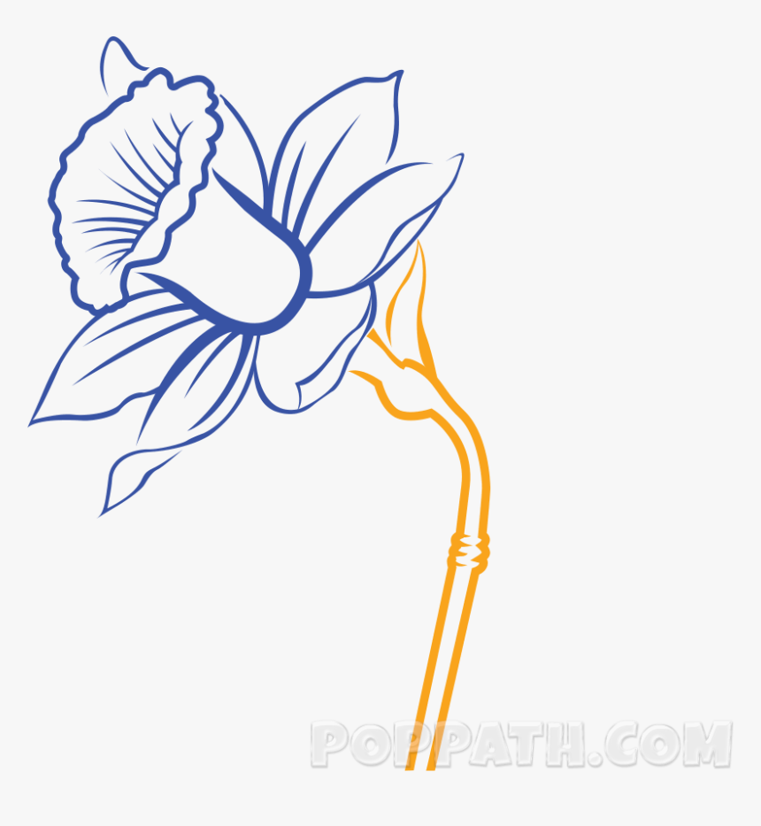 Transparent Daffodils Clipart - 