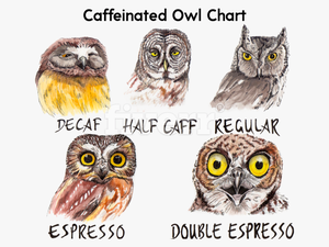 Caffeine Owl - Owl Coffee