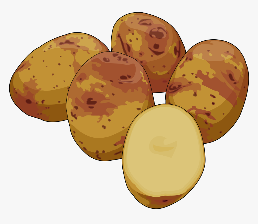 Potato Clipart