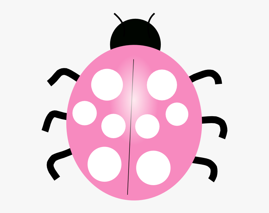 Transparent Ladybug Clipart Png 