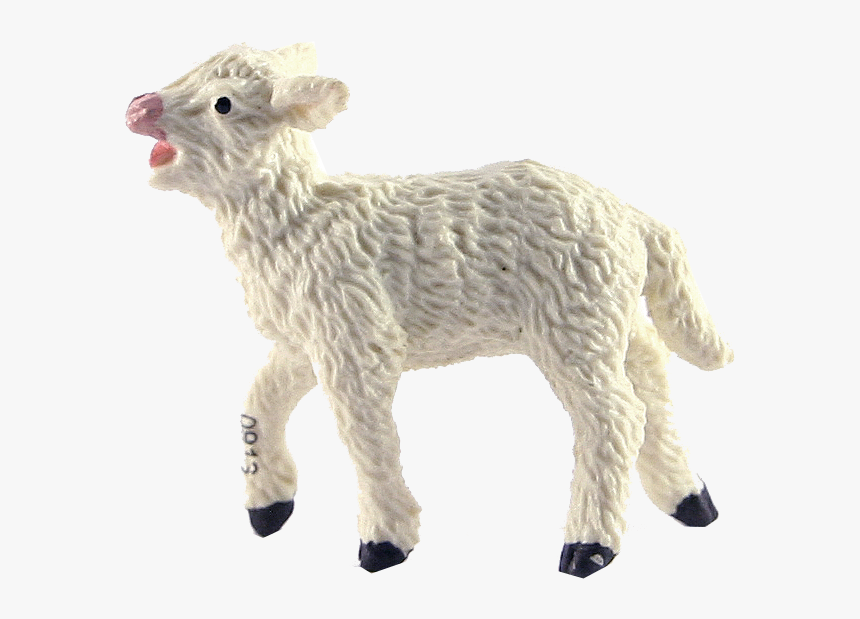 Lamb - Lambs Png