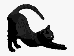 Cat Silhouette Stretching
