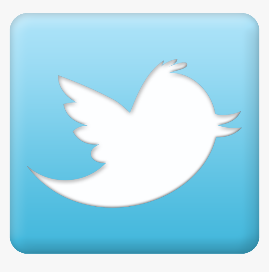 Learning For The Empowerment - Transparent Background Twitter Button