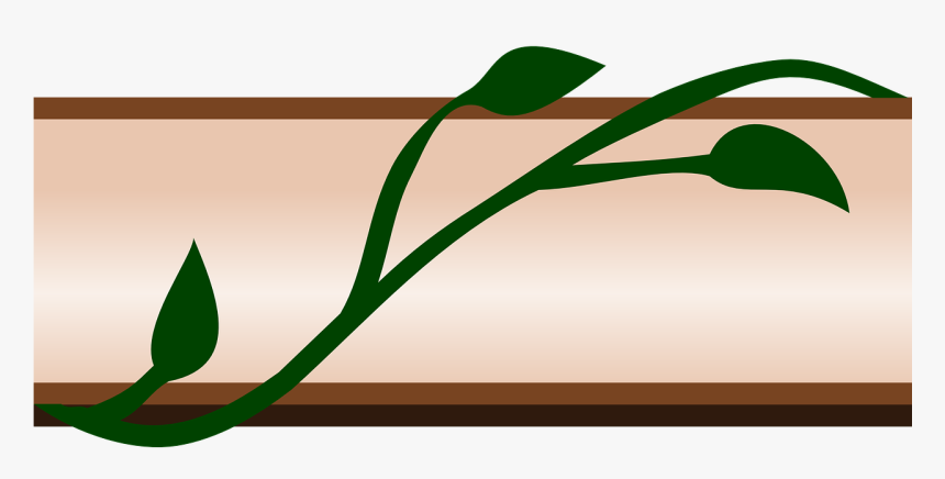 Border Ivy Flora Leaf Design Png Image - Border Clip Art