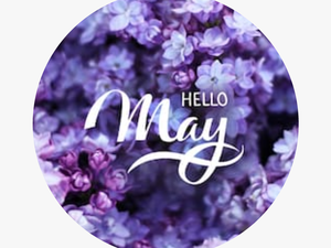 #flowers #flora #cool #may #welcome #hello #purpel - Hello May