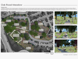A Student’s Illustration Of The Oak Road Meadow Project - Landscape Architecture Project Show