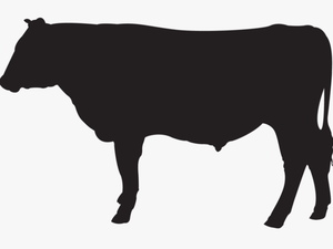 Pipeline Icons Cattle