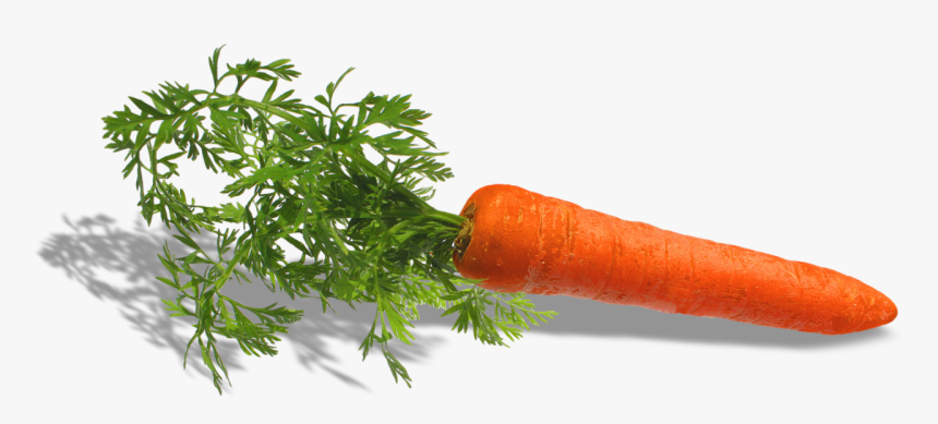 Fruit Et Legumes - Carrot