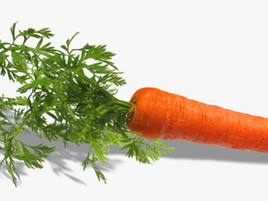 Fruit Et Legumes - Carrot