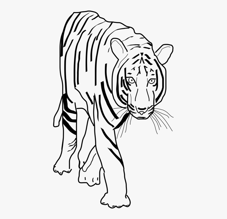 Monochrome - Tiger Black N White
