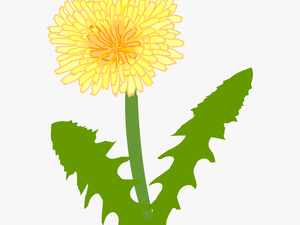 Dandelion - Dandelion Clip Art