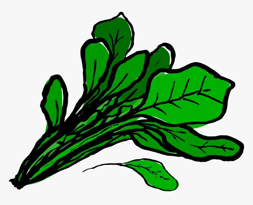 Huge Collection Of Celery Clipart - Clipart Spinach Transparent Background