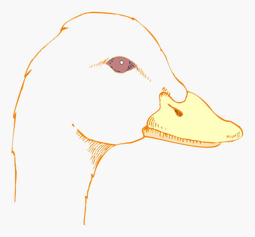 Transparent Duck Face Png - Drawing Of A Duck Head