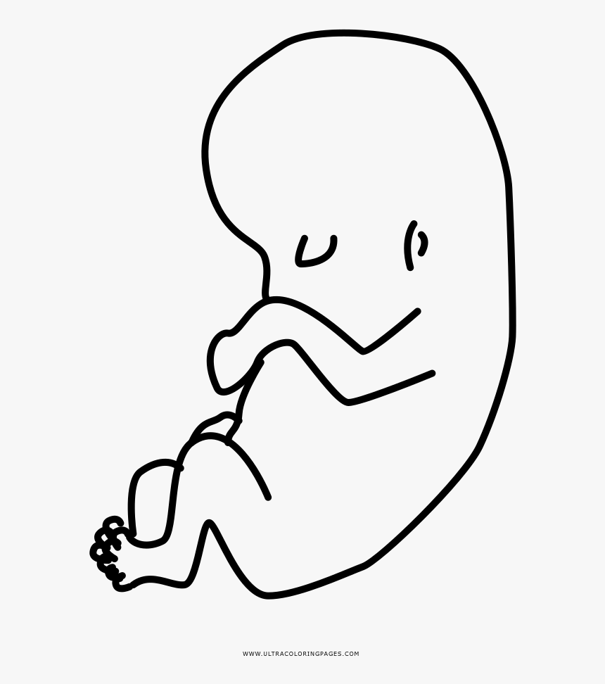 Fetus Coloring Page - Imagenes Del Feto Para Dibujar