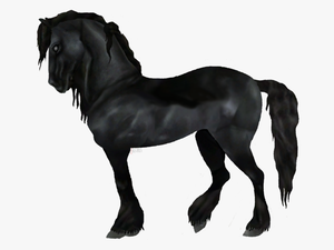 Transparent Horses Friesian - Star Stable Horse Transparent