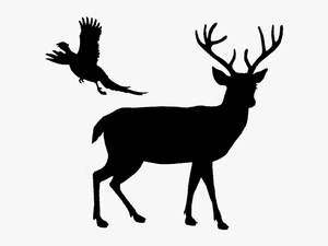White-tailed Deer Reindeer Elk - Deer Silhouette Png