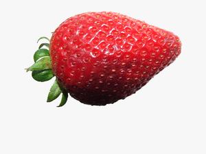 Transparent Strawberry Plant Clipart - Strawberry