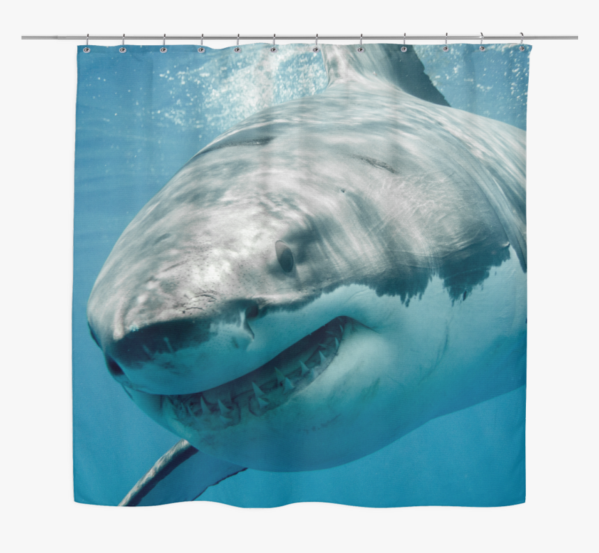 Great White Shark Shower Curtain - Great White Shark Sharks