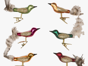 Sass And Belle Set Of 6 Clip On Glass Bird Decorations - Glass Bird Christmas Decoration Uk