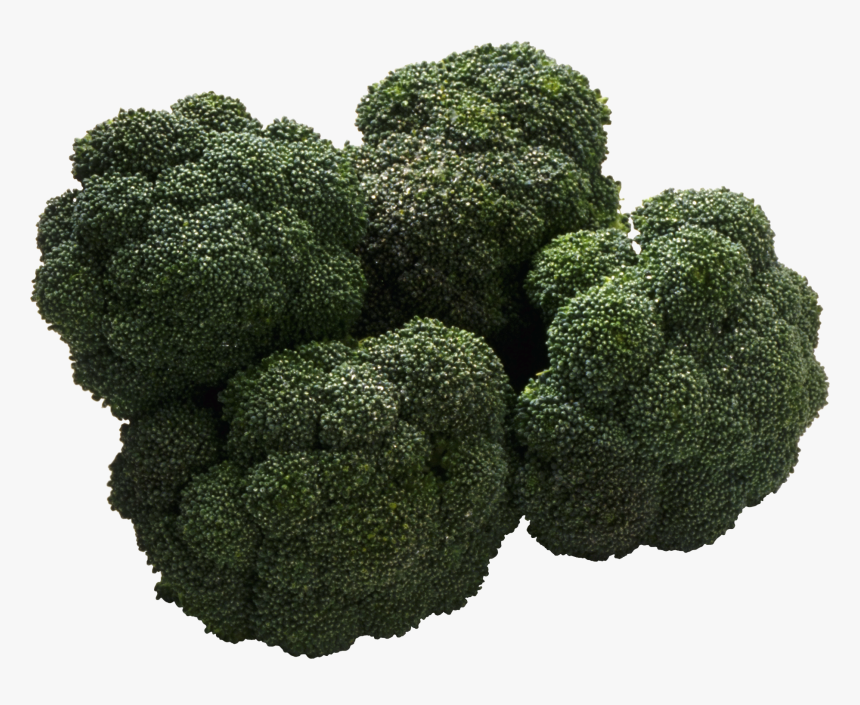 Broccoli Png Images Download - B