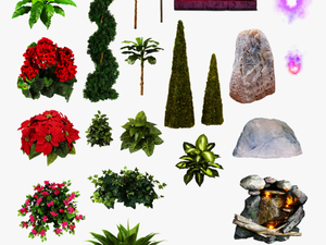 Plant Leaf Png Collection Image - Thư Viện Photoshop Cay Mat Bang