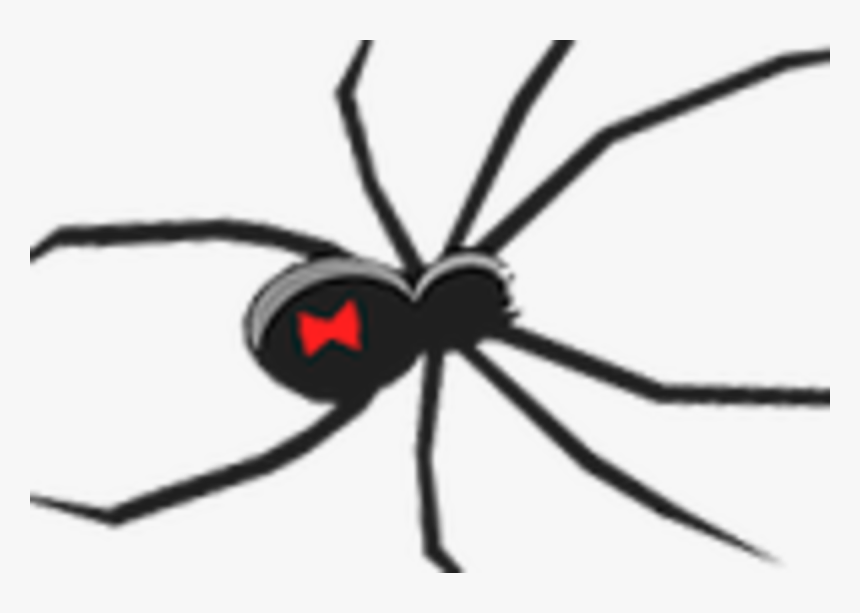 Black Widow Spider Ornament 