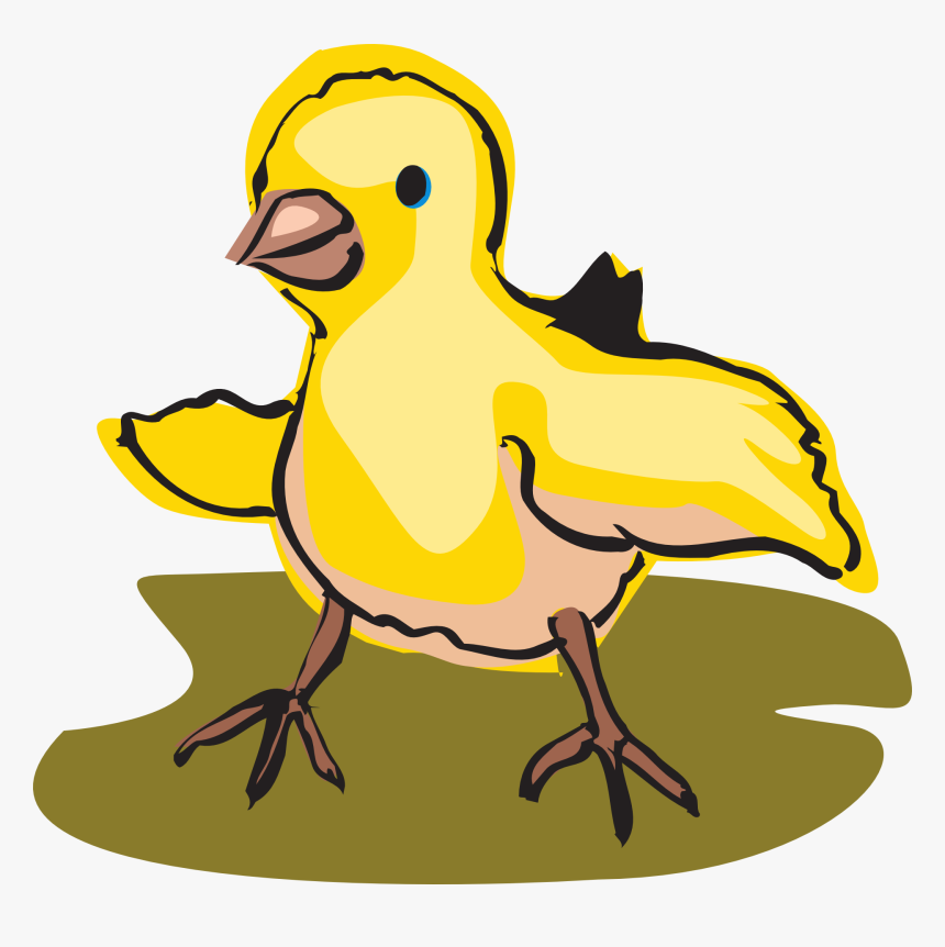 Transparent Baby Chicks Clipart 