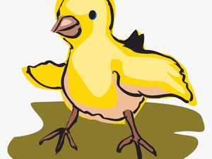 Transparent Baby Chicks Clipart - Baby Bird Clipart