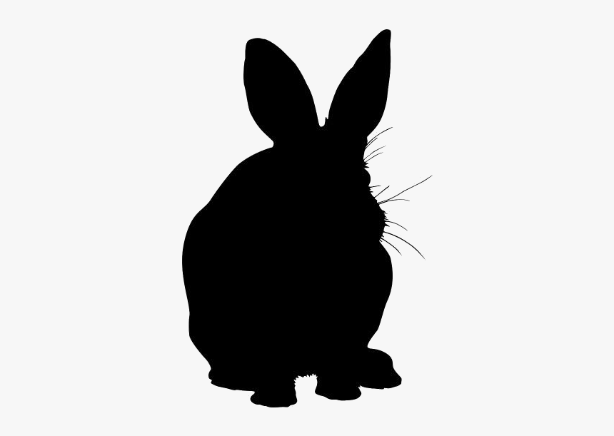 Bunny Png Transparent Images - Domestic Rabbit