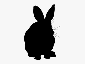 Bunny Png Transparent Images - Domestic Rabbit
