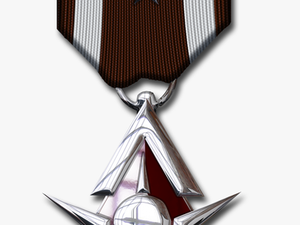 Transparent Star Citizen Png - Silver Medal