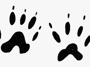 Footprints Animal Tatoo Wild Pawns Freetoedit - Mussel