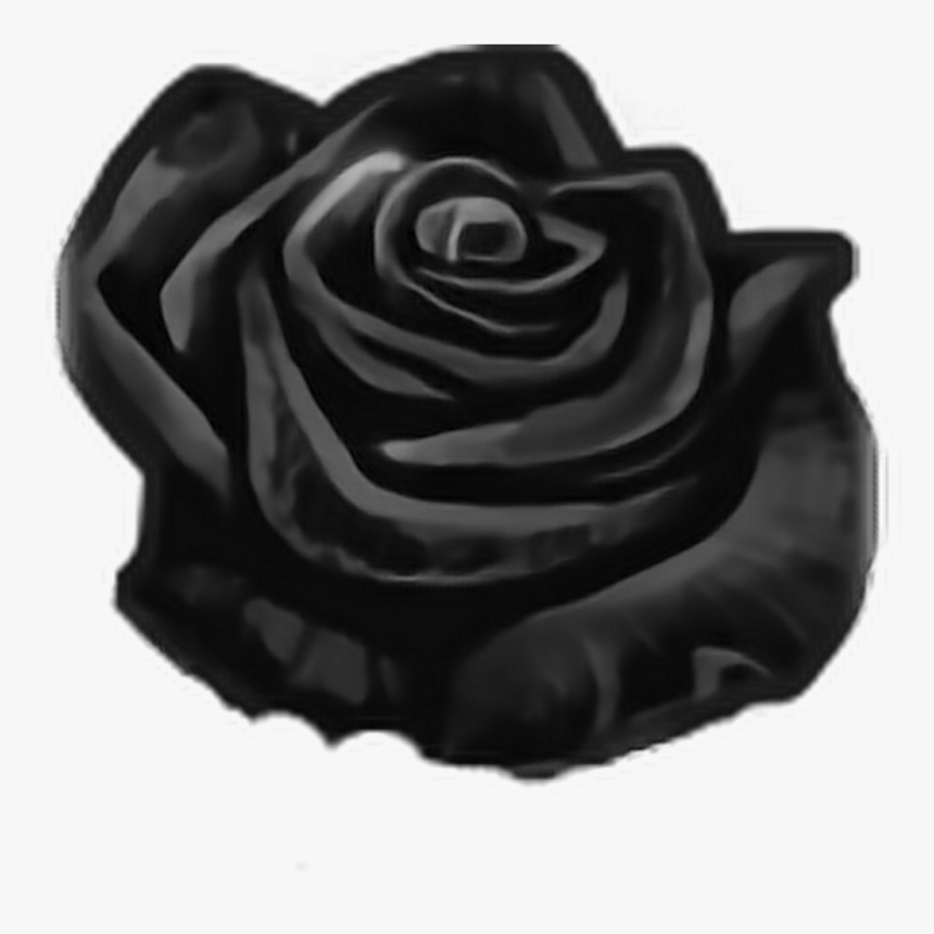 Mq Black Rose Roses Flowers Flow