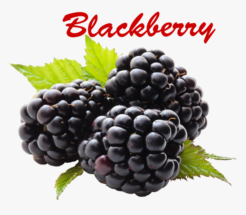 Blackberry Png Picture - Health 