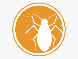 Icon Of A Roach - Pest Icons