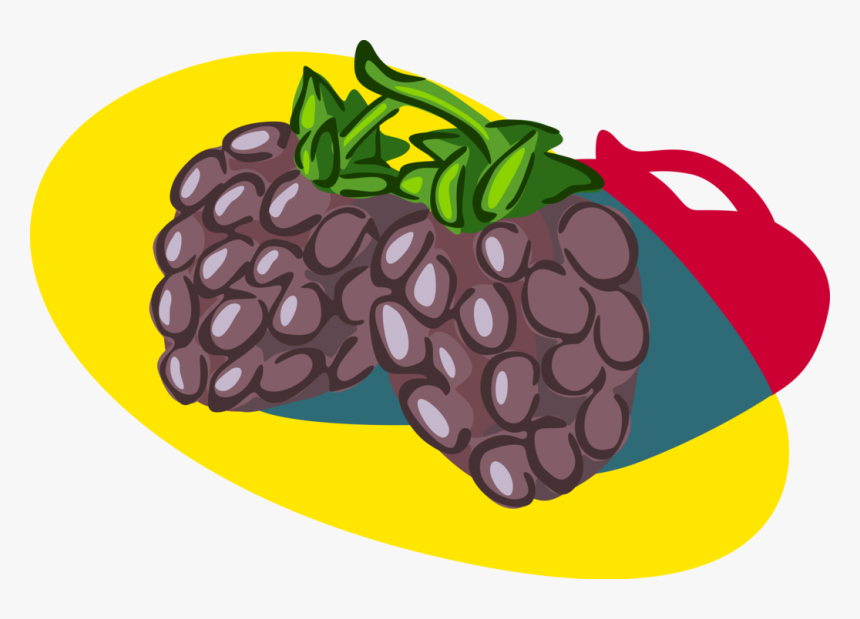 Vector Illustration Of Bramble Fruit Blackberry Edible - Illustration