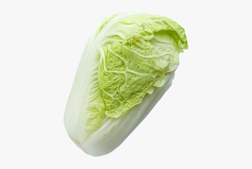 Iceburg Lettuce