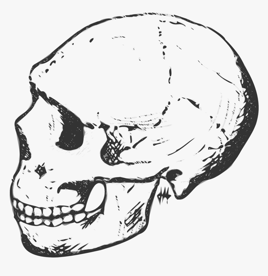 Skull Clipart Black And White Png