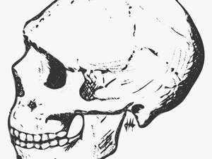 Skull Clipart Black And White Png