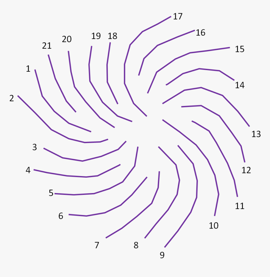 Pattern Sunflower Seed Fibonacci Clockwise Counterclockwise