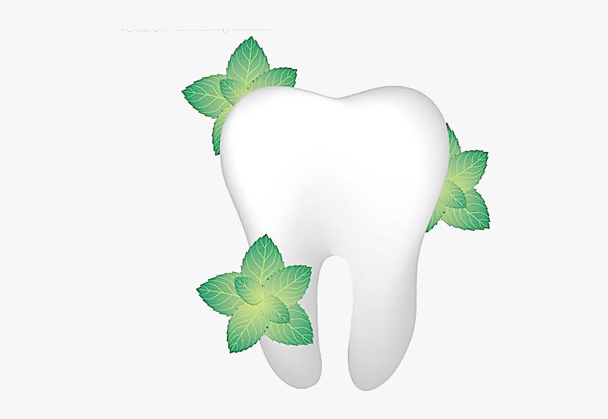 Single Teeth Png Image Transparent - Flower Tooth Png