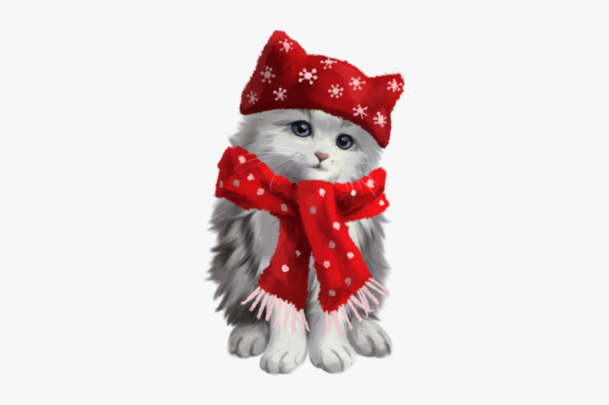#cute #kitty #kitten #cat #grey #white #red #scarf - Kitten