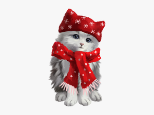 #cute #kitty #kitten #cat #grey #white #red #scarf - Kitten