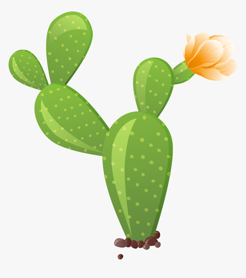 Cactus Clipart Transparent