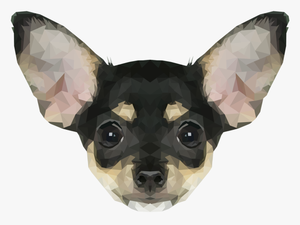 Chihuahua Png